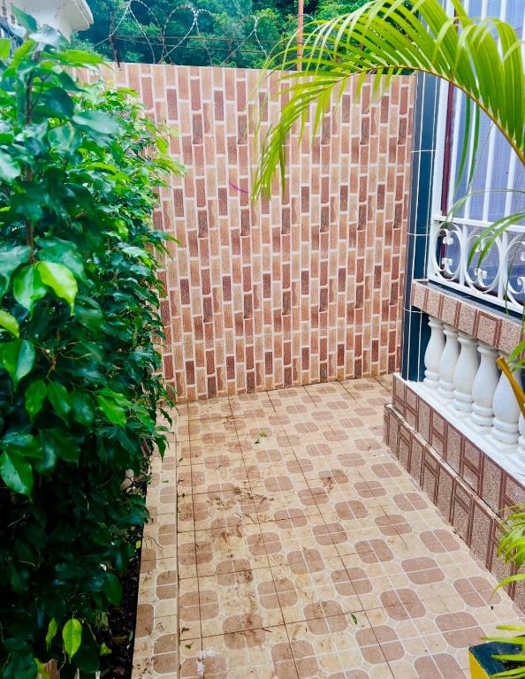 Zahrada ubytování Duplex tx4