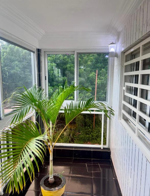 Zahrada ubytování Duplex tx4