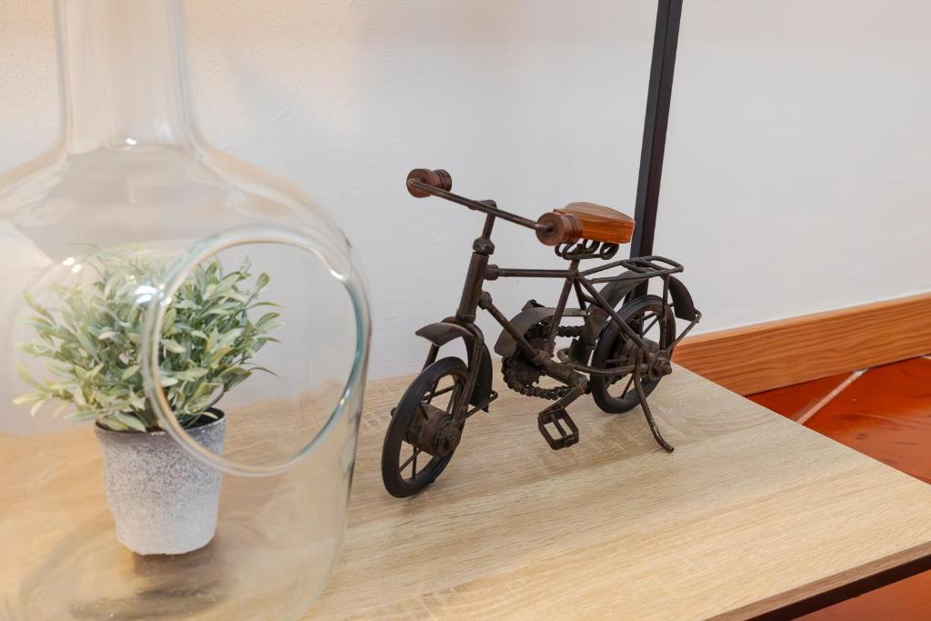 a miniature bike in a bottle next to a plant at Casa Borda da Rocha in Nordeste