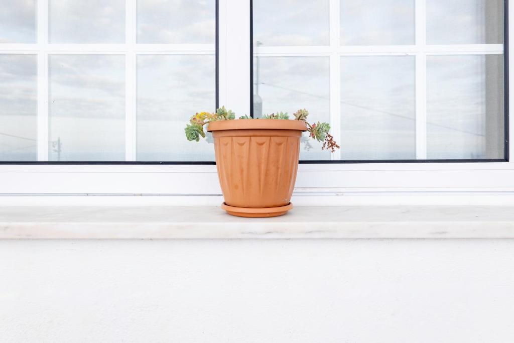 an orange flower pot sitting on a window sill at Casa Borda da Rocha in Nordeste