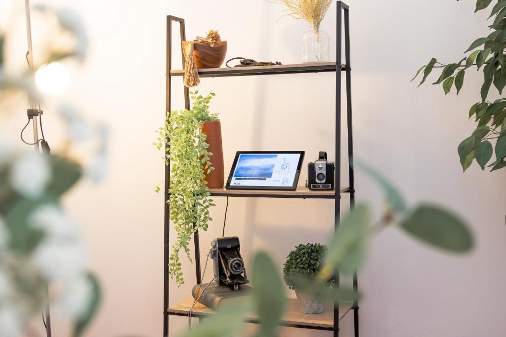 a shelf with a laptop and plants on it at Casa Borda da Rocha in Nordeste
