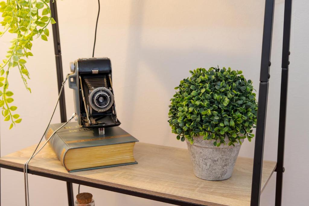 a book and a camera on a shelf with a plant at Casa Borda da Rocha in Nordeste