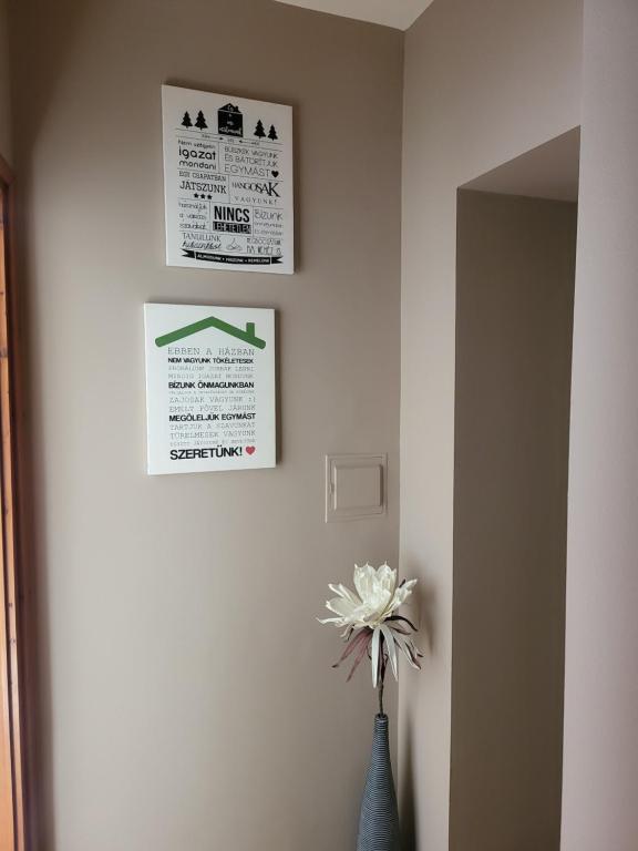 a vase with a white flower in a room at G&G Apartman in Balatonszepezd