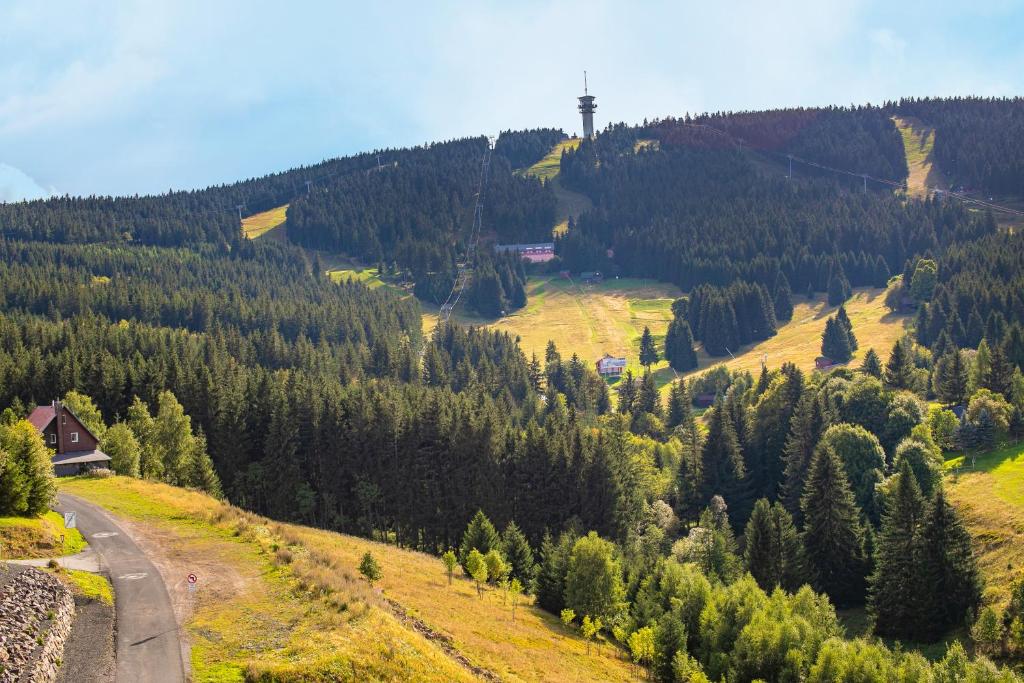 Příroda nedaleko vily