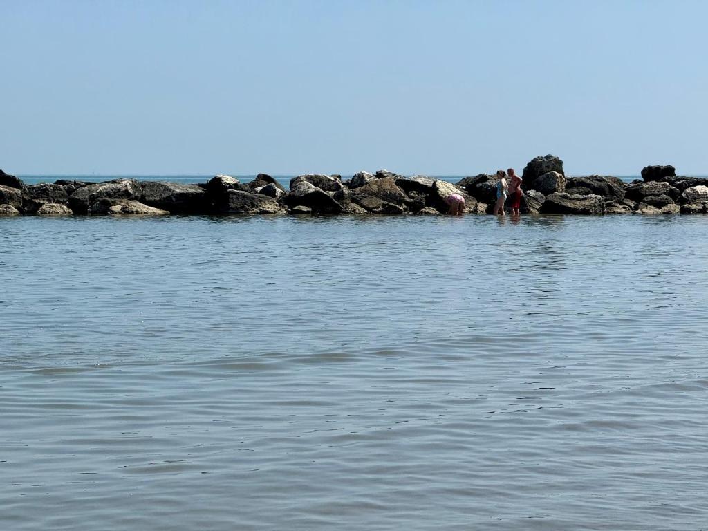 Residence Carioca - Resim 45