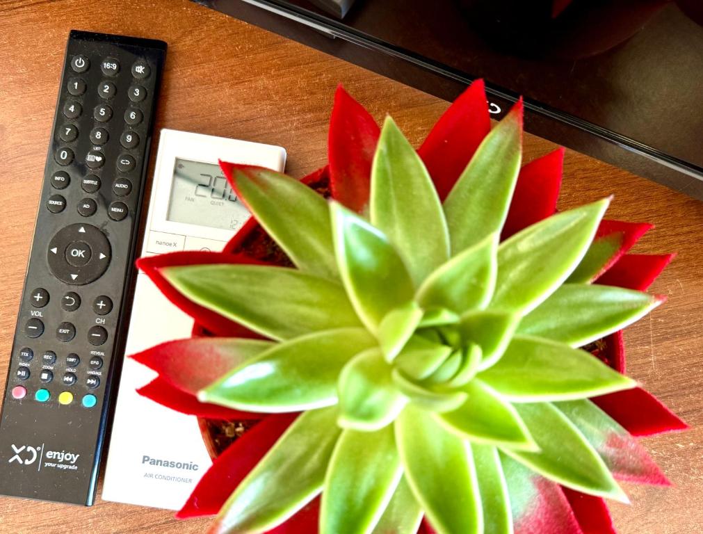 Residence Carioca - Resim 33