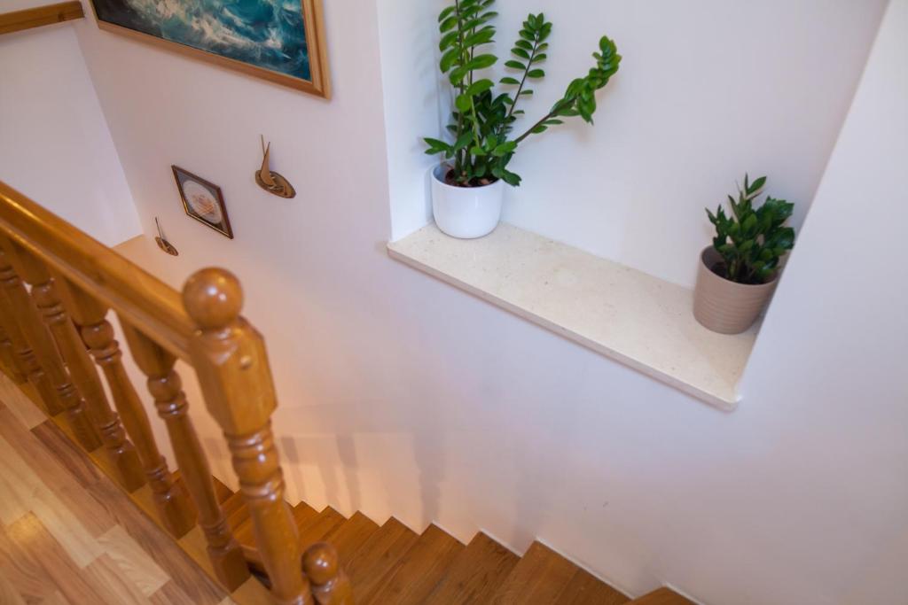 Angelus Apartments - 14