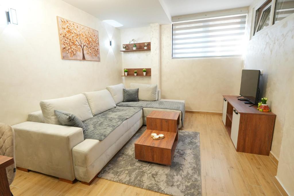 Et tv og/eller underholdning på Green Hills Susic II