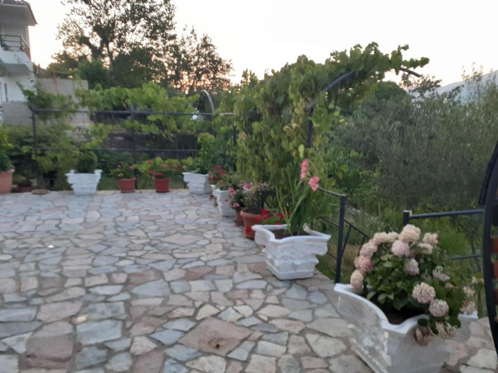 Zahrada ubytování Bixhaku GuestHouse
