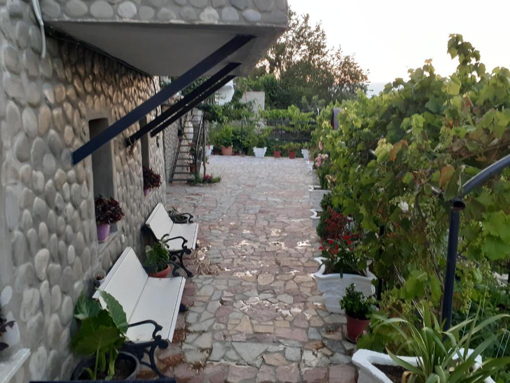 Zahrada ubytování Bixhaku GuestHouse