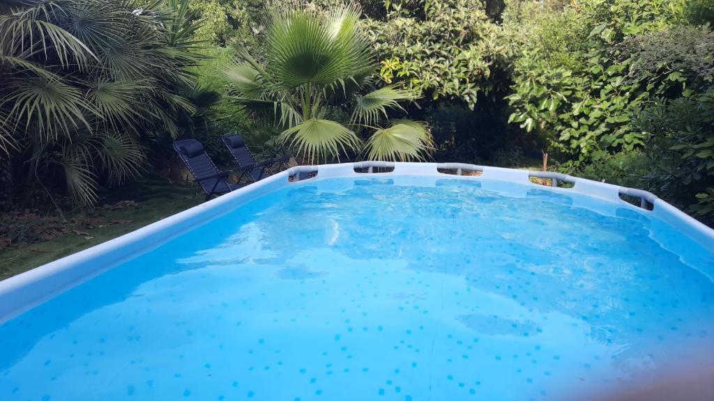 una gran piscina azul en un patio con palmeras en Le Cycas de la Palmeraie, en Istres