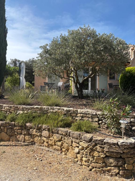 un jardin avec un mur en pierre et un arbre dans l'établissement LES CISTES, à Lioux