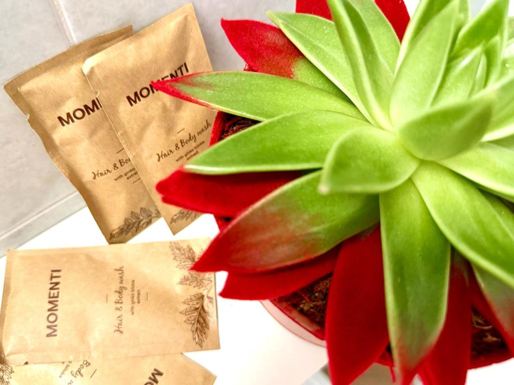 Residence Algarve - Resim 20