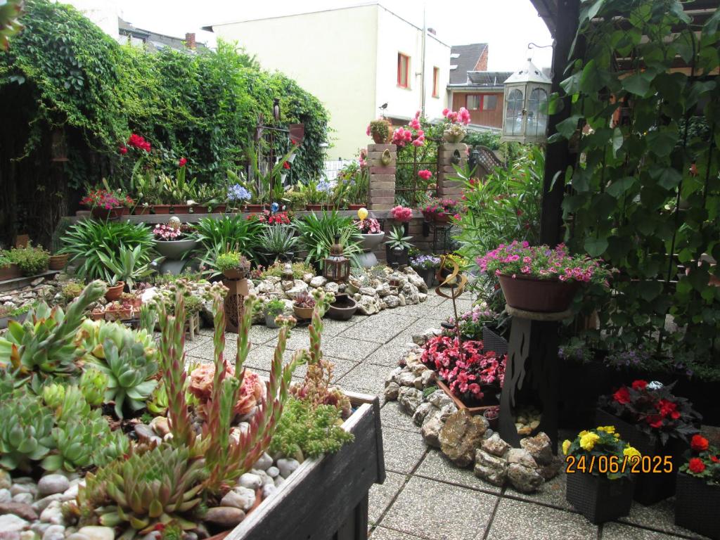 Zentrale-ruhige Ferienwohnung - 8