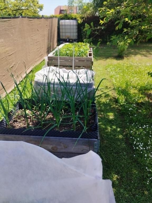 Zahrada ubytování Glamping Mezi ploty