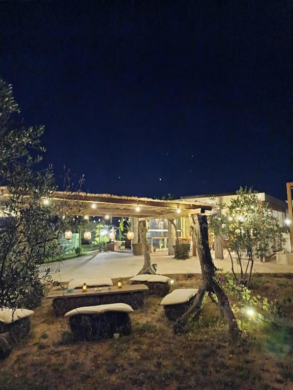 TENUTA DOROLIVO - 18