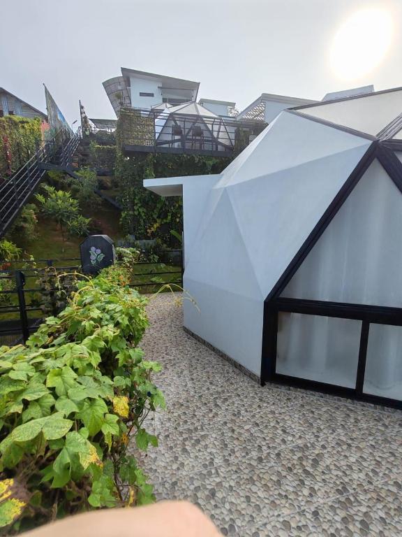 Zahrada ubytování Sunrise Hill Glamping