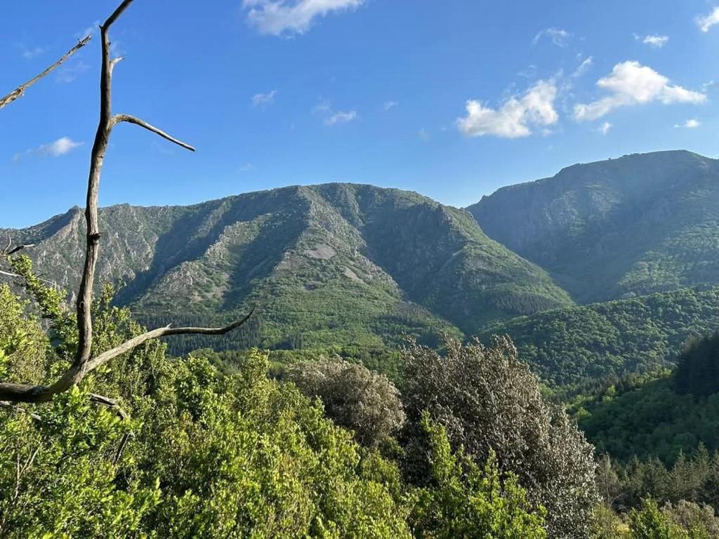 a view of a mountain with trees and mountains at Gîte Le Domaine de Valko in Castanet-le-Haut