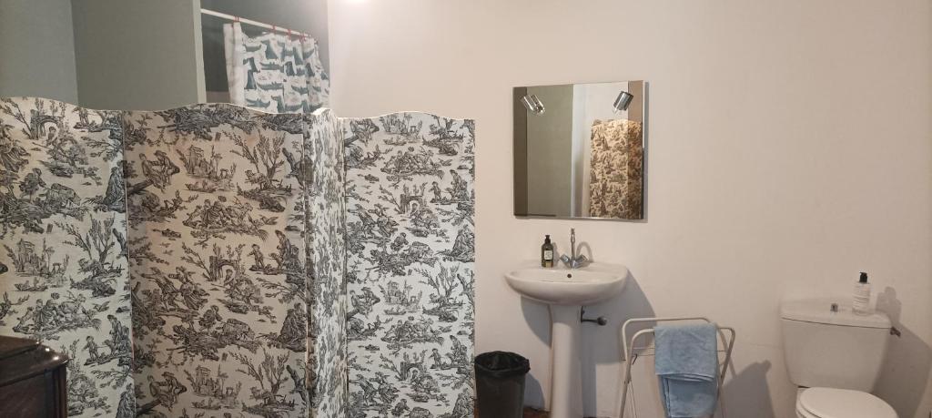 a bathroom with a shower curtain and a sink at Maison Belle Croix in Châtillon-Coligny