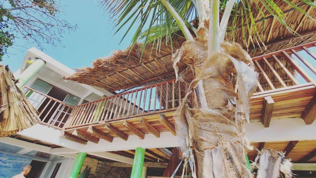 Μπαλκόνι ή βεράντα στο eco hotel lili