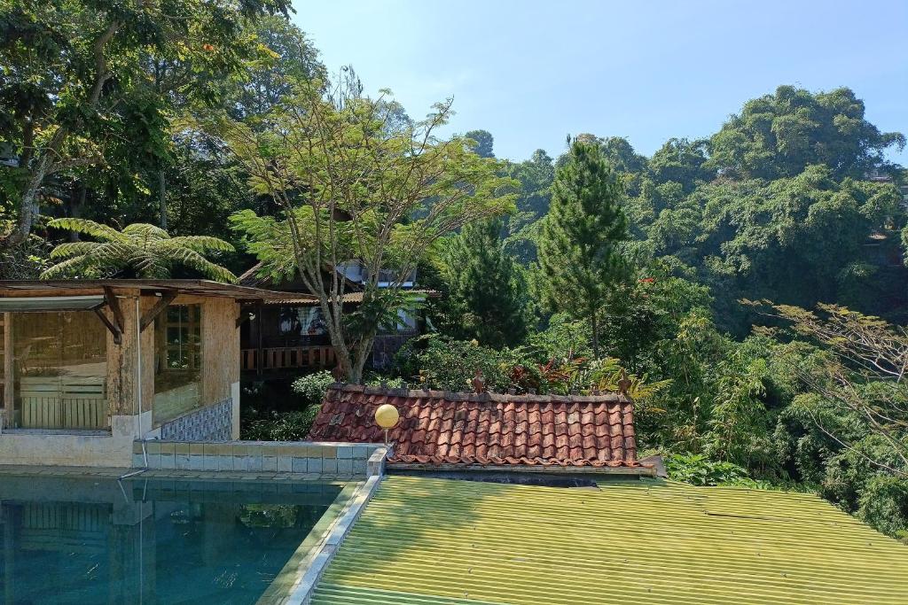 Piscina di Mendulang by Belza o nelle vicinanze