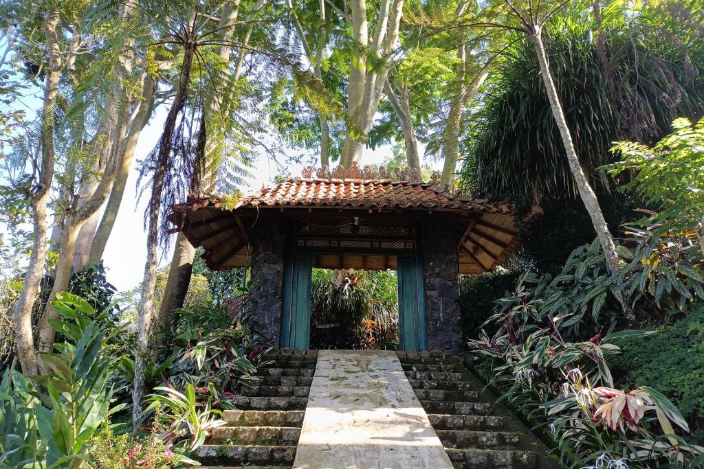 Giardino di Mendulang by Belza