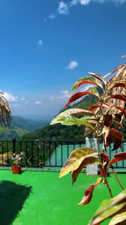 O vedere generală la munți sau o vedere la munte luată de la acest hotel