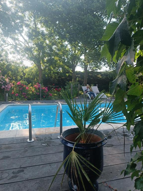 une plante en pot installée à côté d'une piscine dans l'établissement Duplex dans belle propriété avec piscine, à Les Essarts-le-Roi