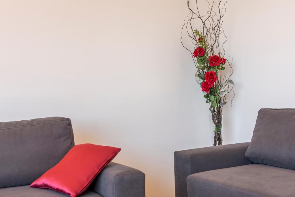 Dreams Apartment Bacvice - 上级公寓