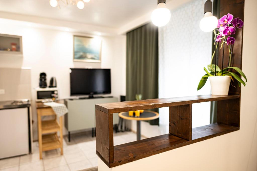Mega COOL Flat France Suisse – photo 5