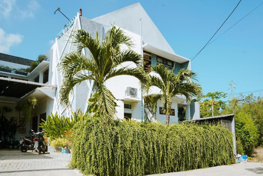 Komodo Labuan Bajo AirportにあるMama Komodo Bed & Breakfastの白い建物前のヤシの木