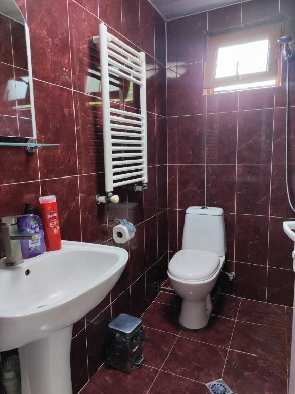 Bagno di Ushba House