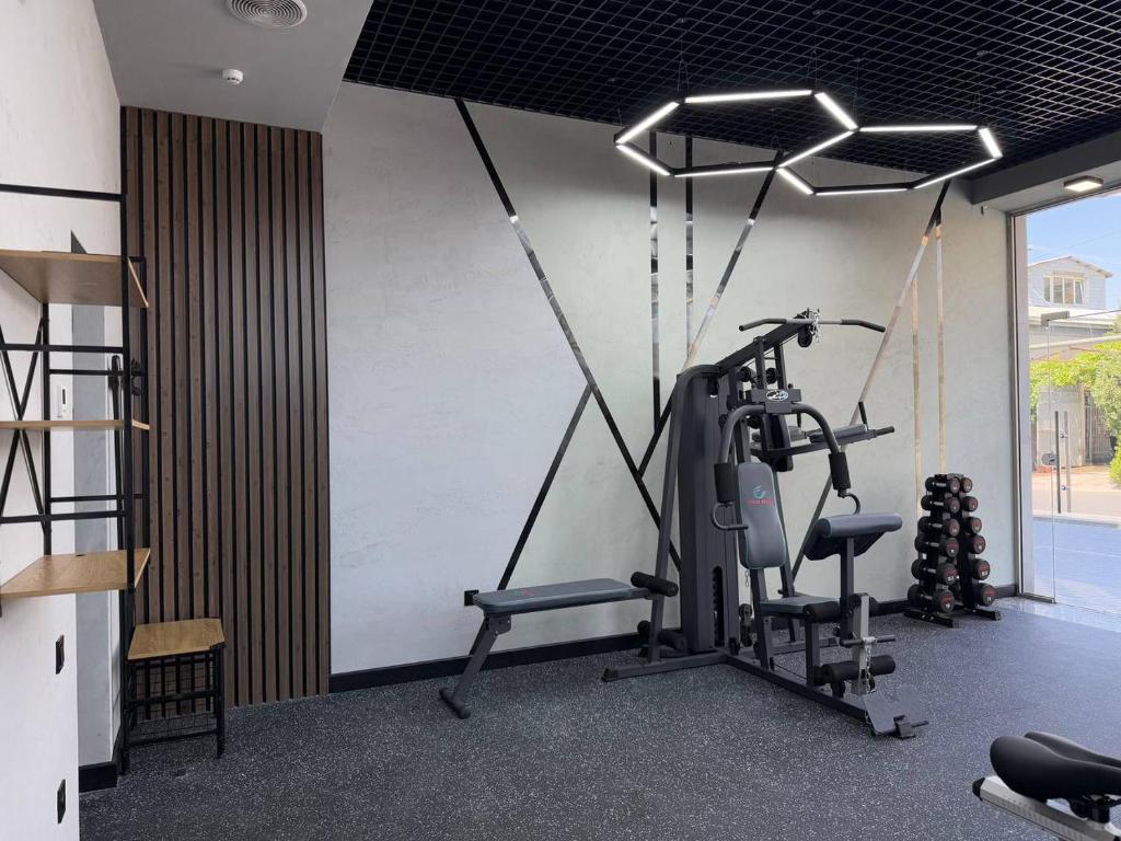 Fitness centrum a/nebo fitness zařízení v ubytování Dynasty Hotel & SPA