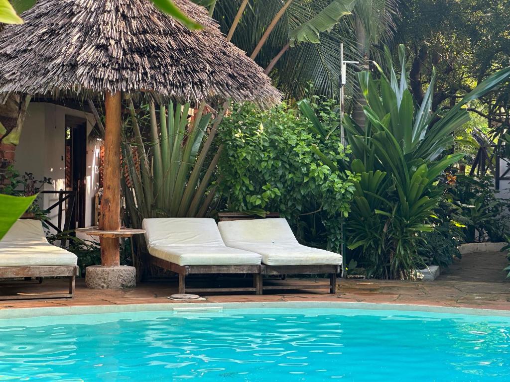 Der Swimmingpool an oder in der Nähe von Maisha Nungwi - Boutique Hotel