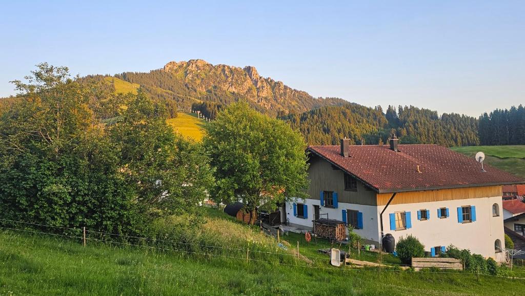 a house in a field with a mountain in the background at Jungholz Erlebnis in Jungholz