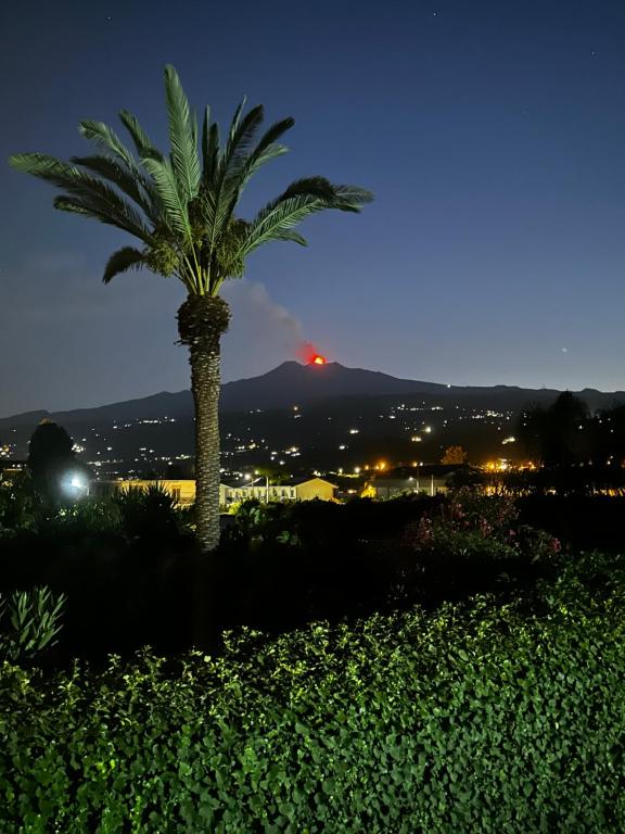 Γενική θέα στο βουνό ή θέα στο βουνό από  αυτό το διαμέρισμα
