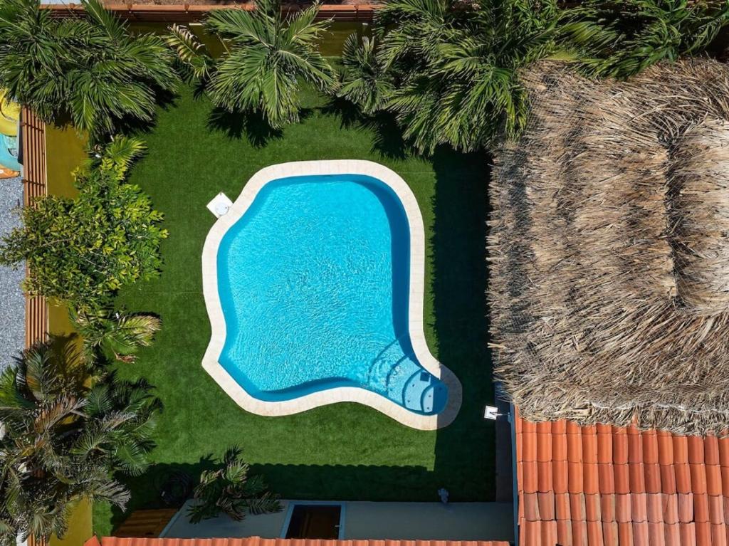 Una vista aérea de una piscina en una casa. en Luxury Villa with Pool Hidden Gem by Bocobay, en Palm-Eagle Beach