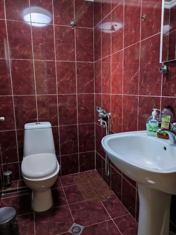 Bagno di Ushba House
