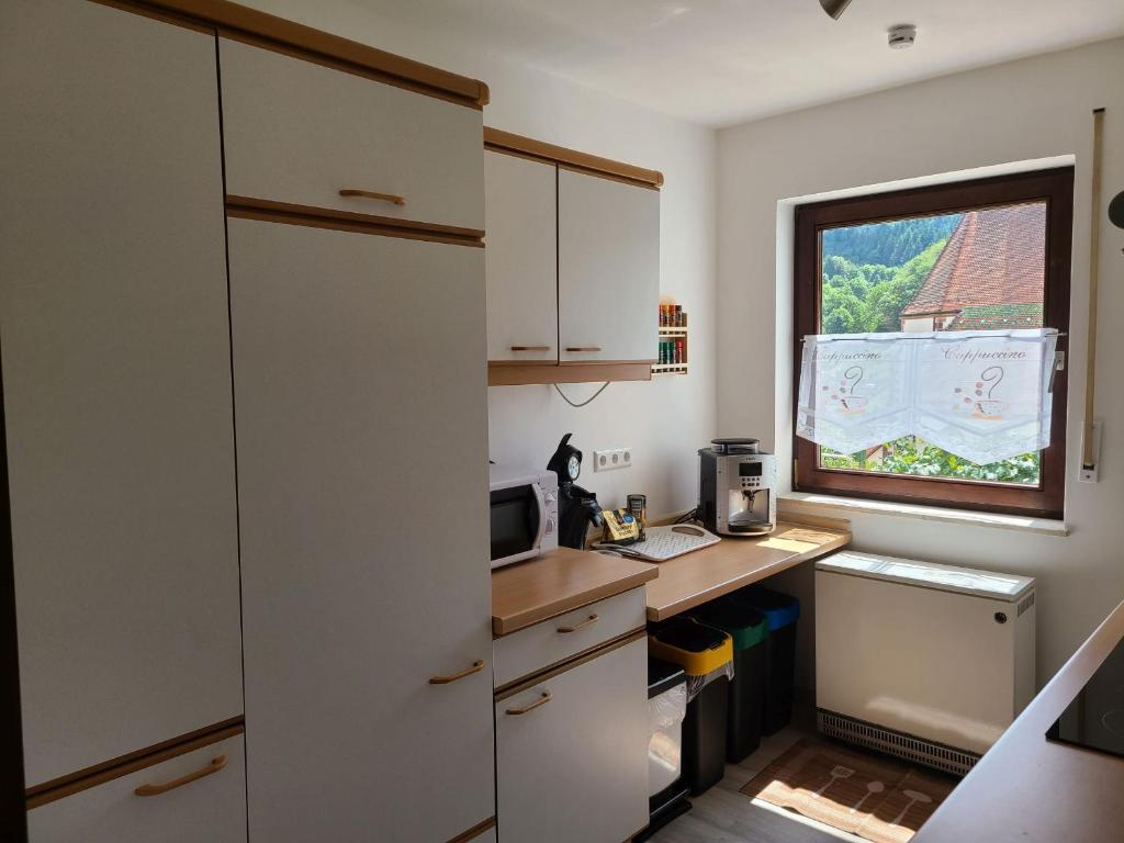 Kuchyň nebo kuchyňský kout v ubytování Ferienwohnung am Südhang