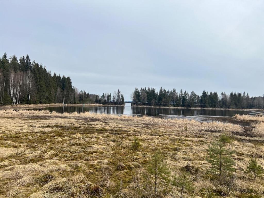 Loodusmaastik puhkemaja lähedal