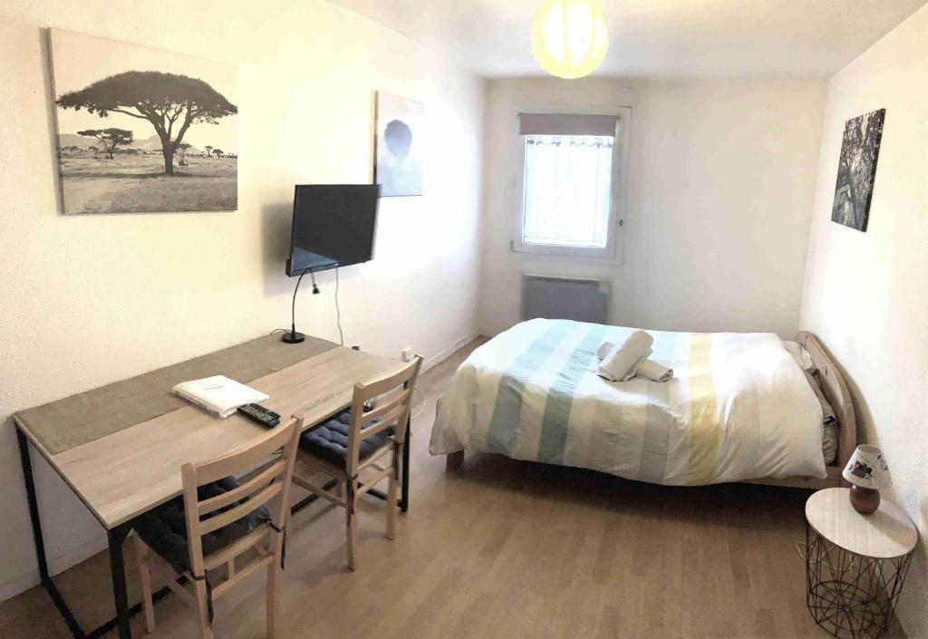 シャンベリにあるStudio ARBOLESのベッドとテーブルと机のある寝室