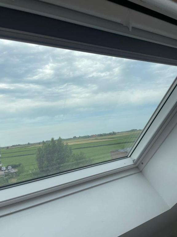 Příroda nedaleko prázdninového domu