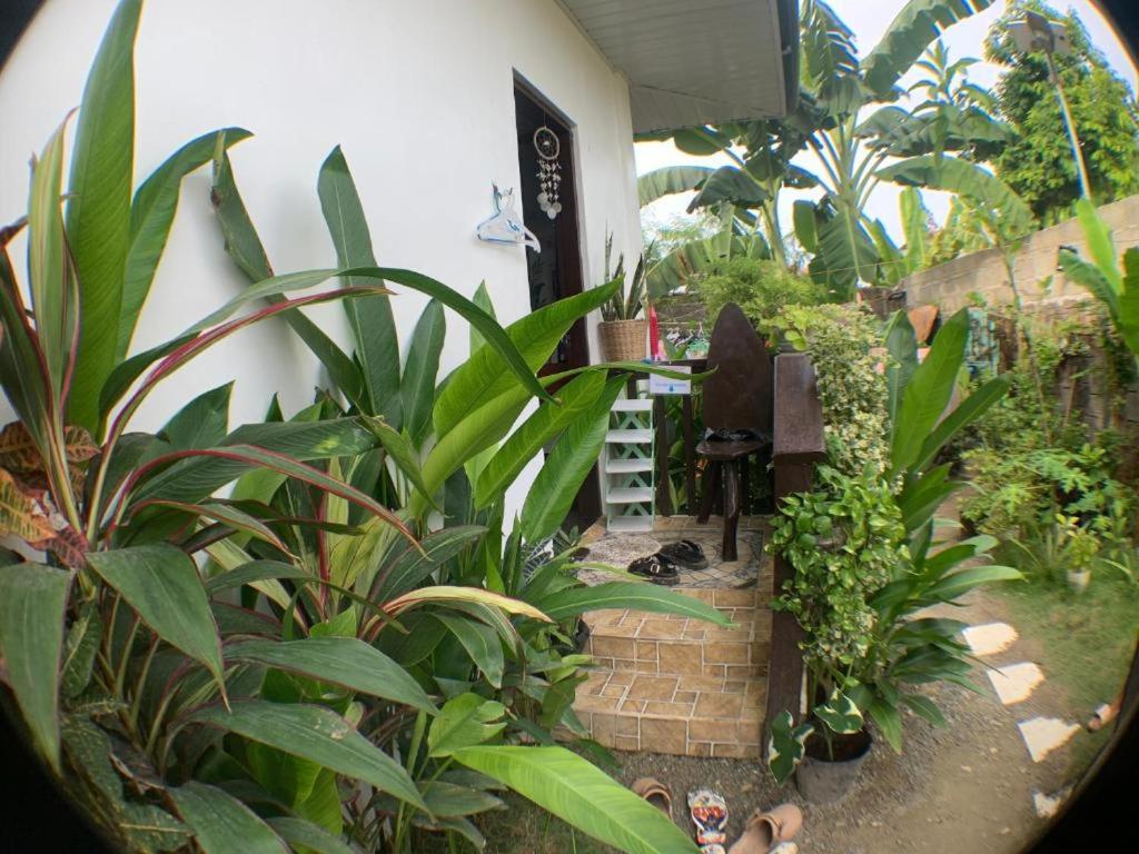 Vrt ispred objekta JML homestay