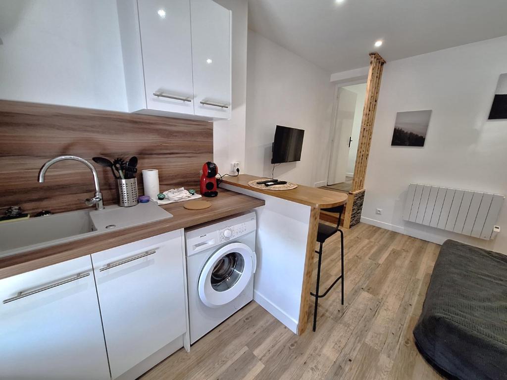 una cocina con fregadero y lavadora en Grand T2 lumineux 2 pers Olivet Avenue Loiret, en Olivet