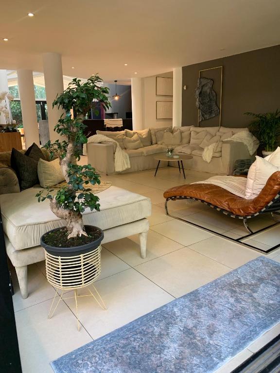 Gallery image of Mood Wellness Resort in Johannesburg