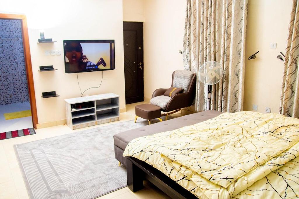TV a/nebo společenská místnost v ubytování Luxury 4 BR Apt w Parking, Hot tub, Magodo Estate