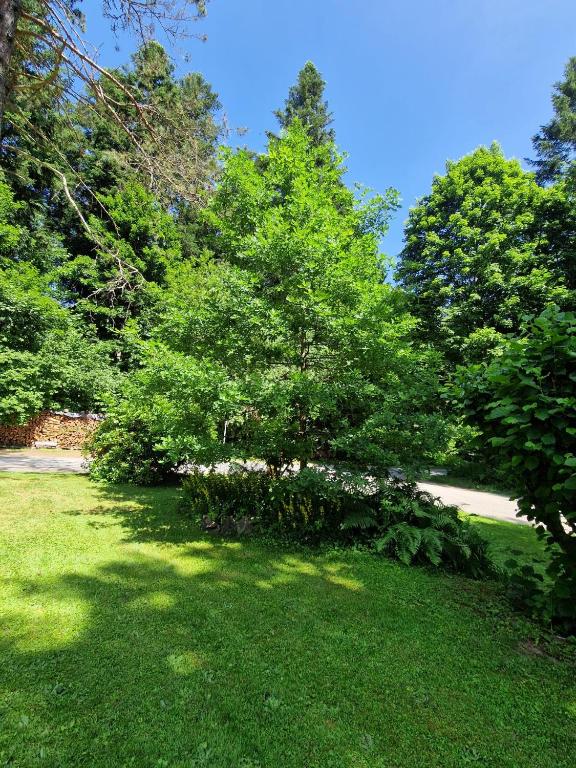 Gästezimmer Im Haus Am Wald - 19