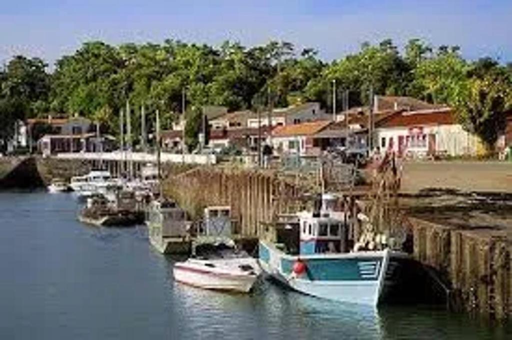a group of boats are docked in a harbor at Studio confortable à Dolus-d'Oléron 26 m² avec piscine in Dolus-d'Oléron