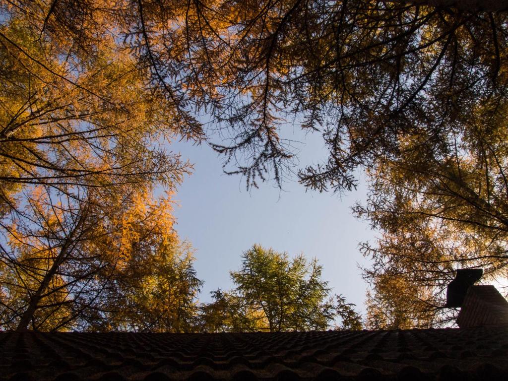 Příroda nedaleko hostelu