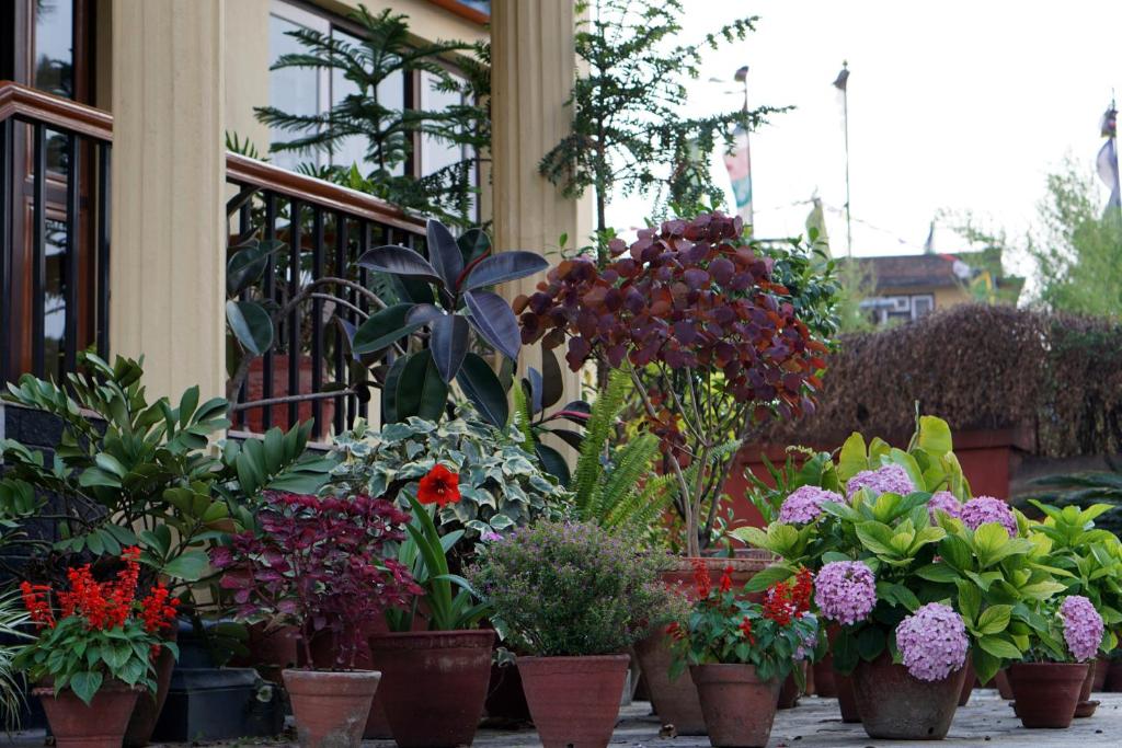 Giardino di Swayambhu View Guest House